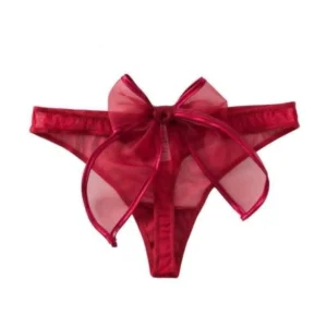 New Mesh Bow Ribbon Girl Thong Sexy Transparent Women's Underwear
