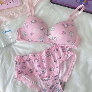 Hello kitty bikini Cartoon Bra & Brief Sets Cute & Cozy Sexy Underwear Undergarments for Women