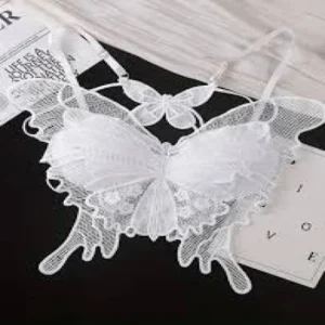 Sexy Butterfly Lace Bras For Women Backless All-in-one Bralette Women's Hollow Embroidered Butterfly Top Hollow Bra